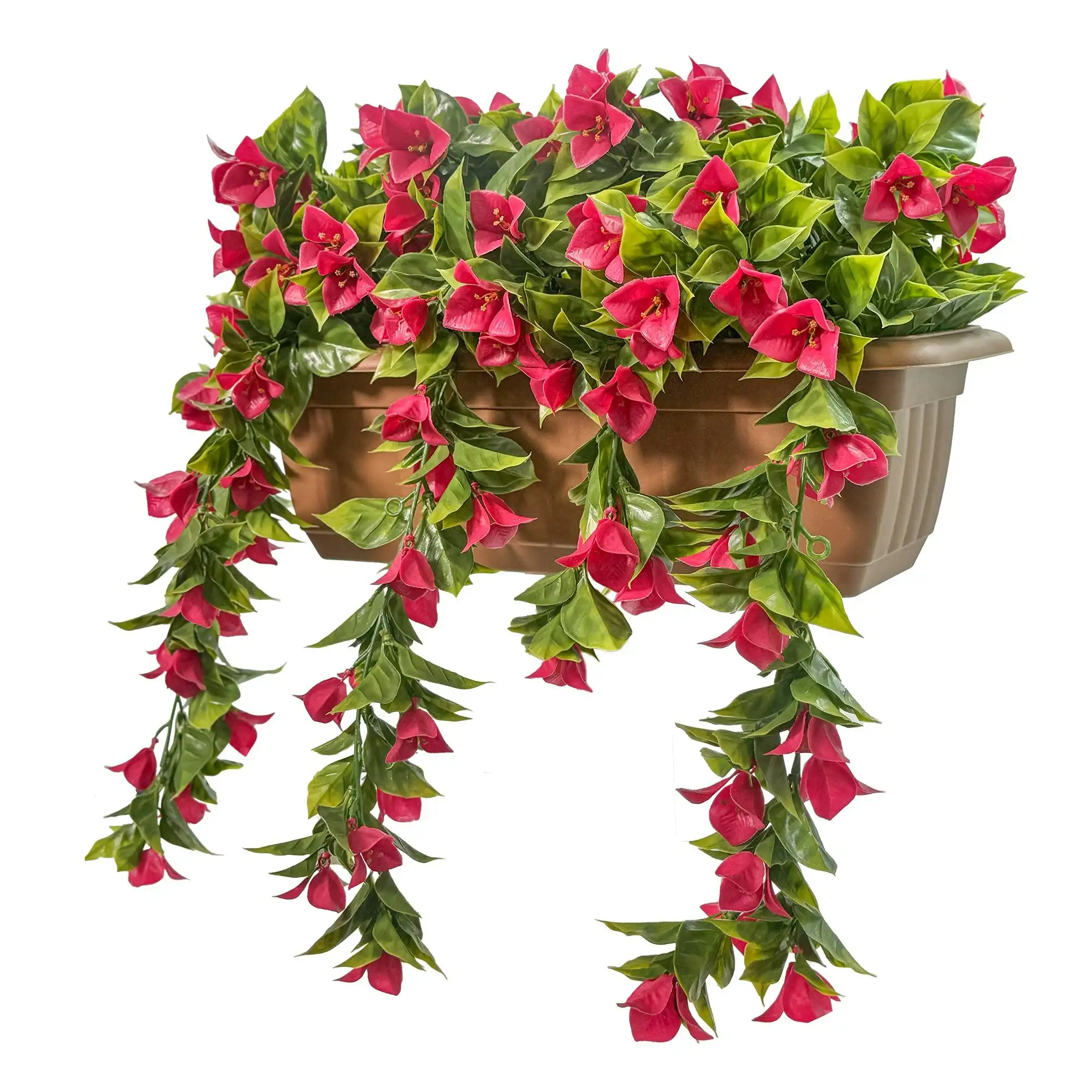 Balcony Hanging Planters - Bougainvillea - Pink 60cm Outdoor