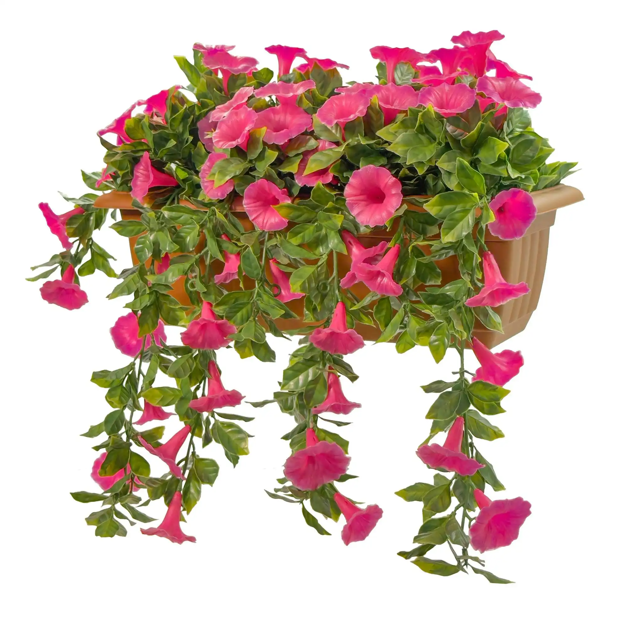 Balcony Hanging Planters - Petunia (Morning Glory) - Pink 60cm Outdoor