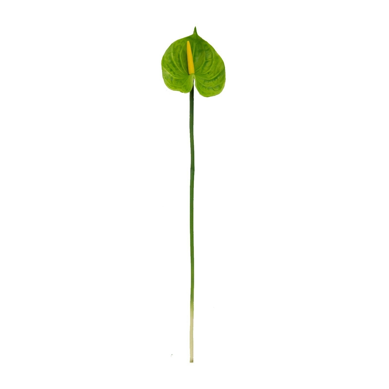 Artificial Green Anthurium Stem 70cm