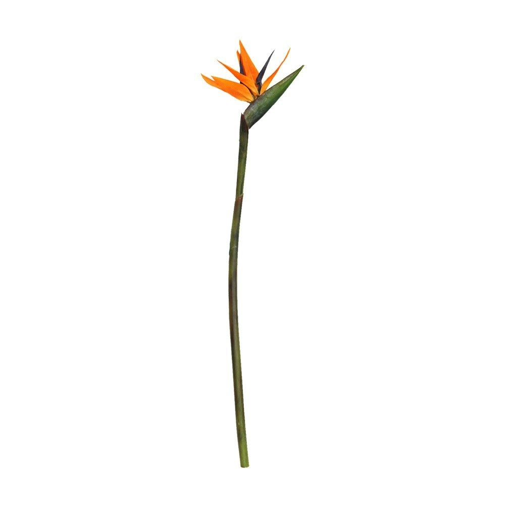 Artificial Bird of Paradise Flower Stem 80cm