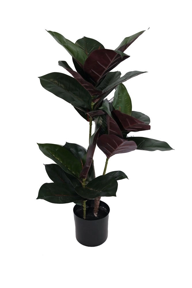 Artificial Burgundy Rubber Plant 70cm