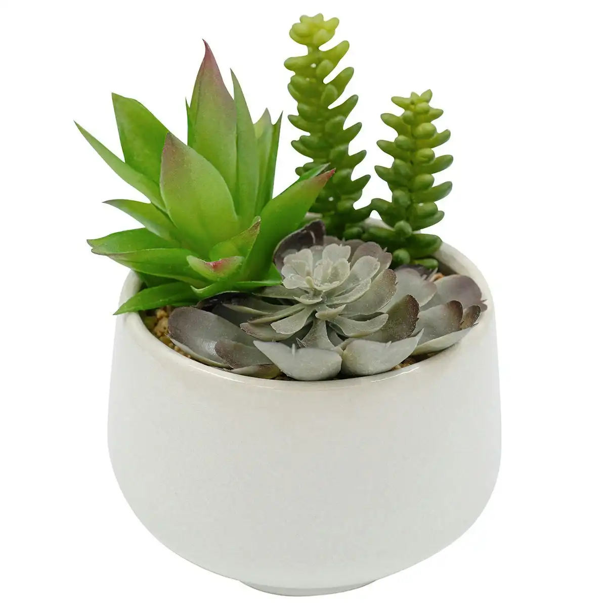 Artificial Succulents - Trio in White Pot 19cm
