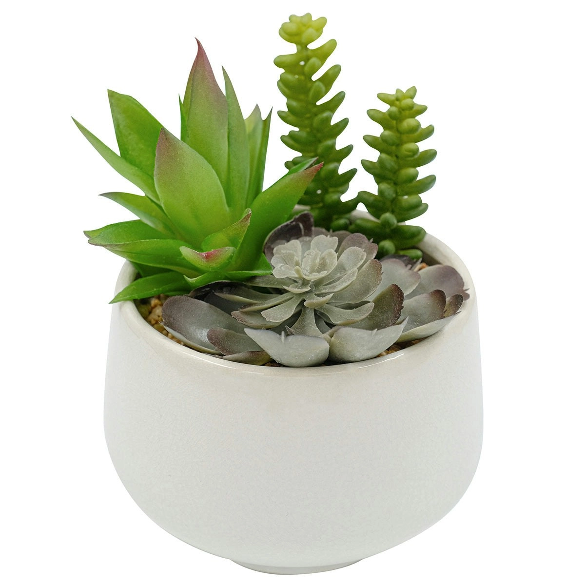 Artificial Succulents - Trio in White Pot 19cm