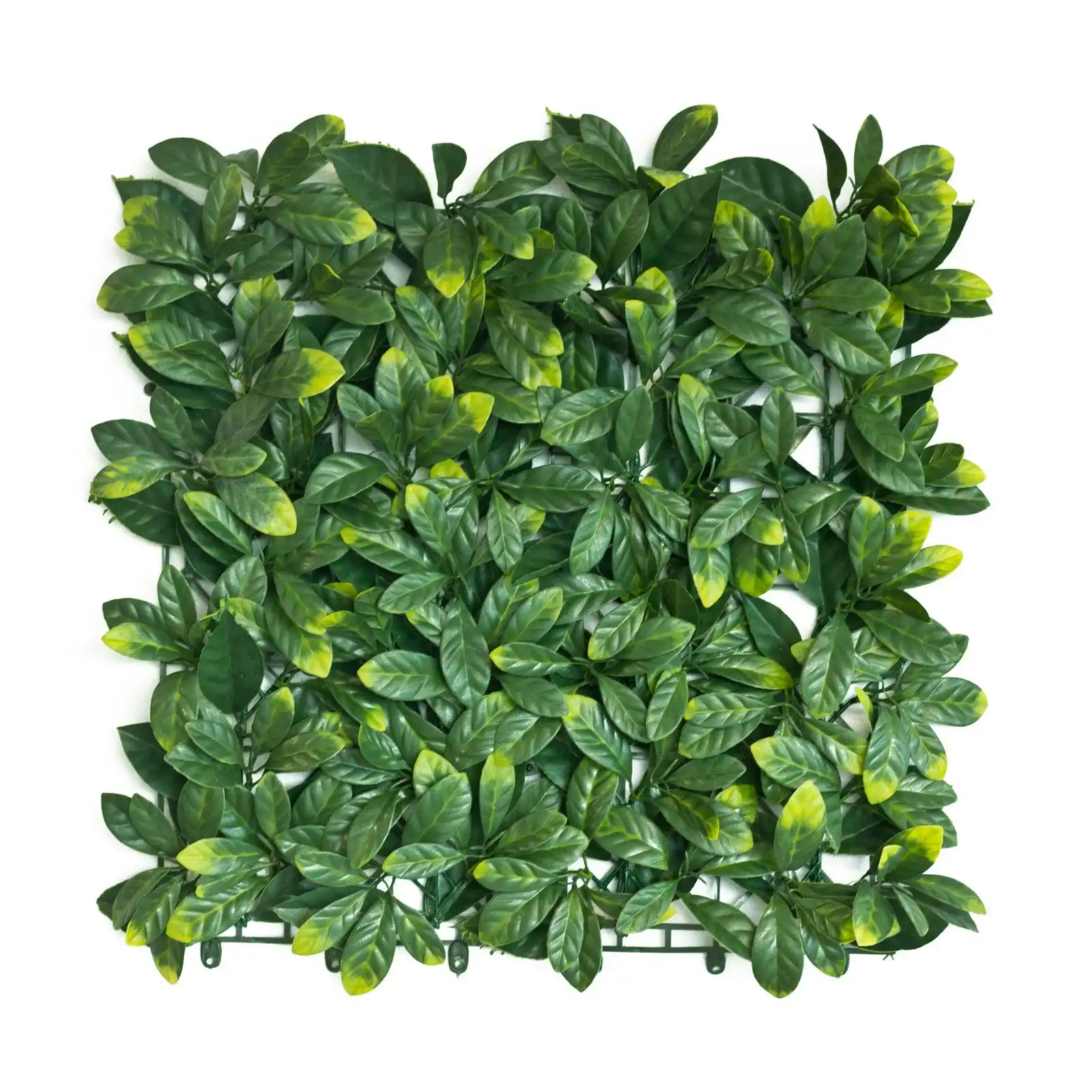 Green Photinia Artificial Hedge Tile: 50cm x 50cm