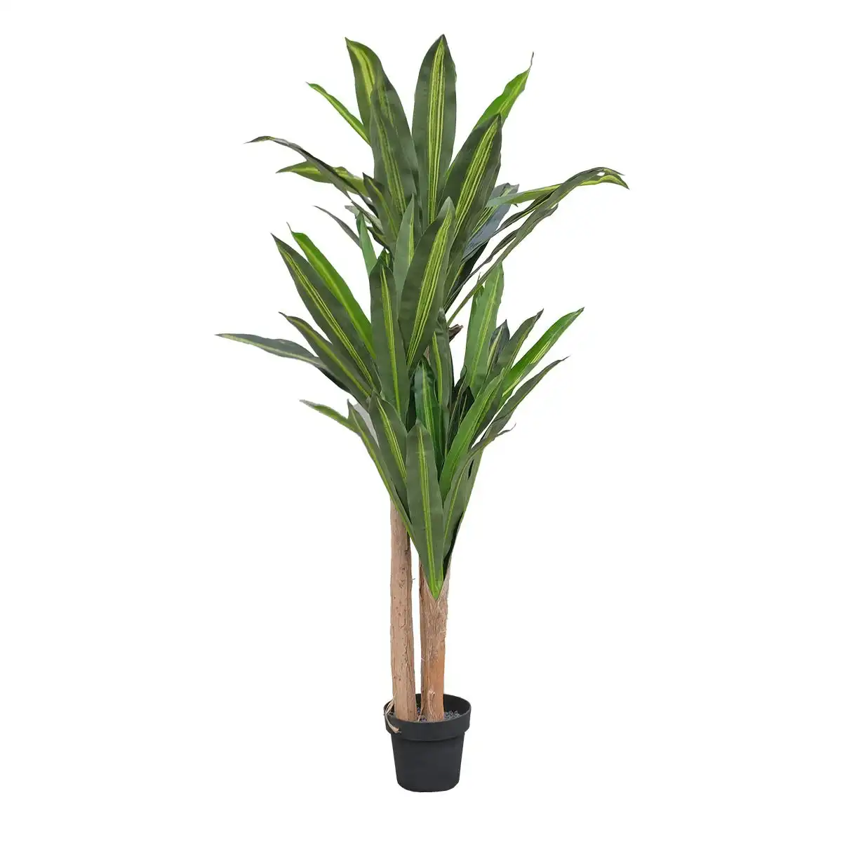 Artificial Plant - Dracaena Tree - 160cm