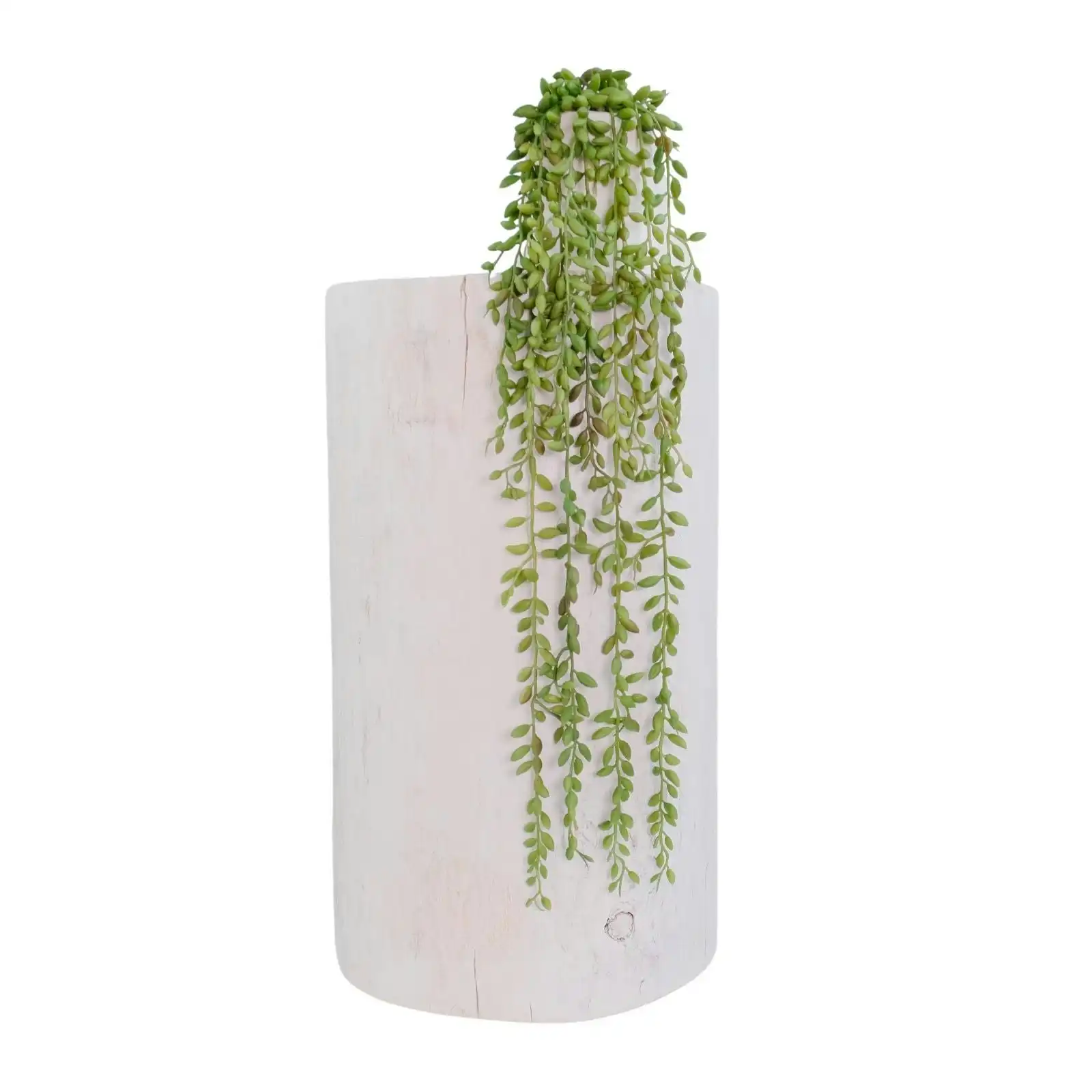 Artificial String of Pearls Trailing Plant 55cm