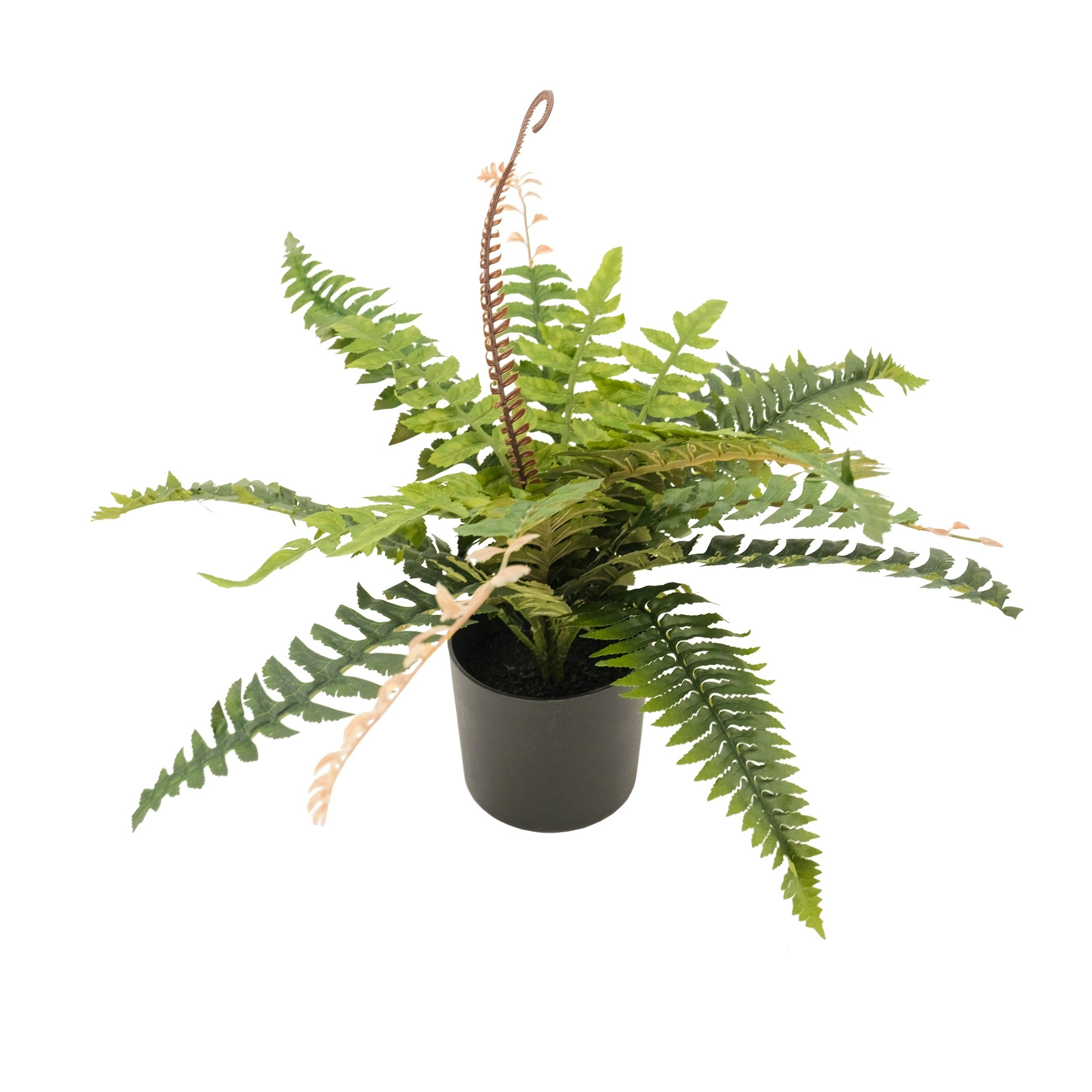 Artificial Boston Fern Plant 50cm