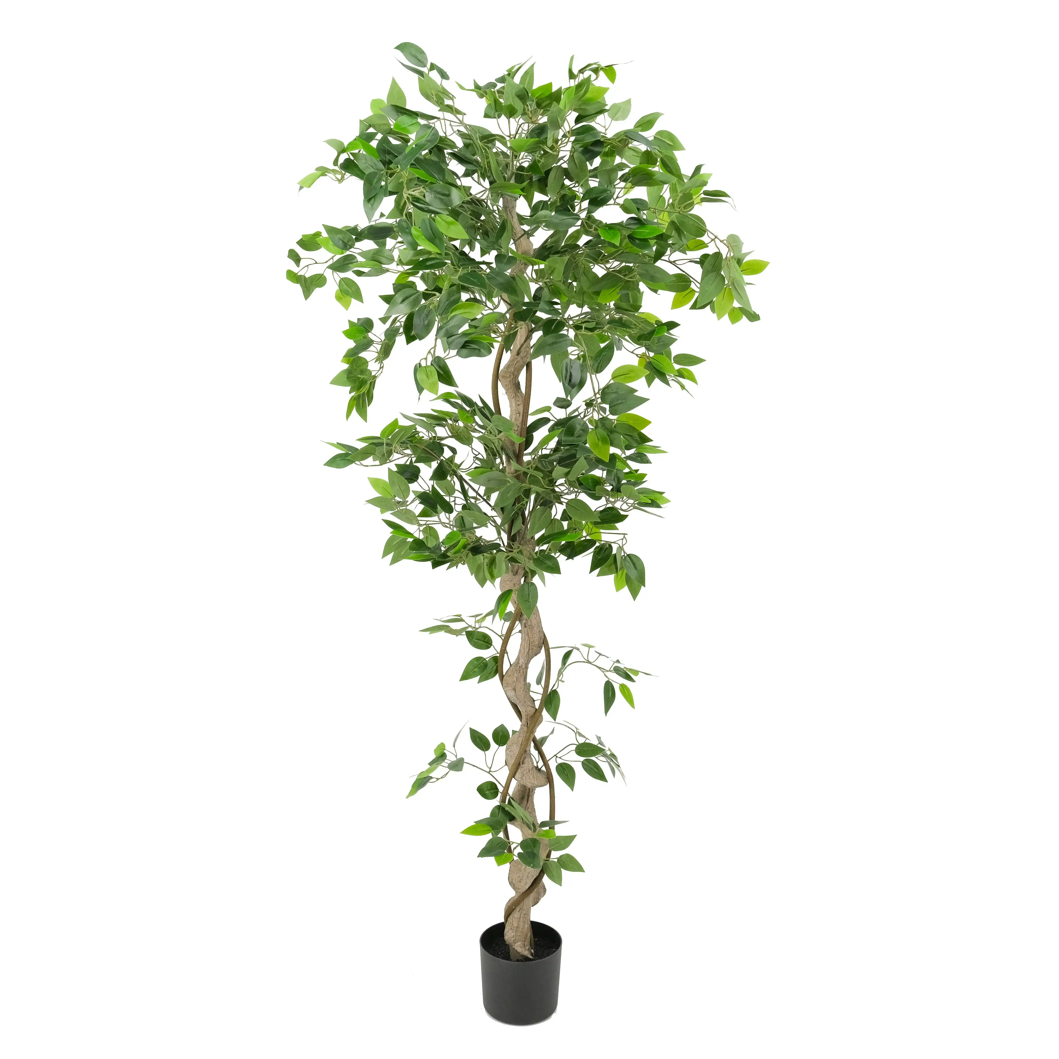 Artificial Ficus Tree with Twisted Trunk - 180cm
