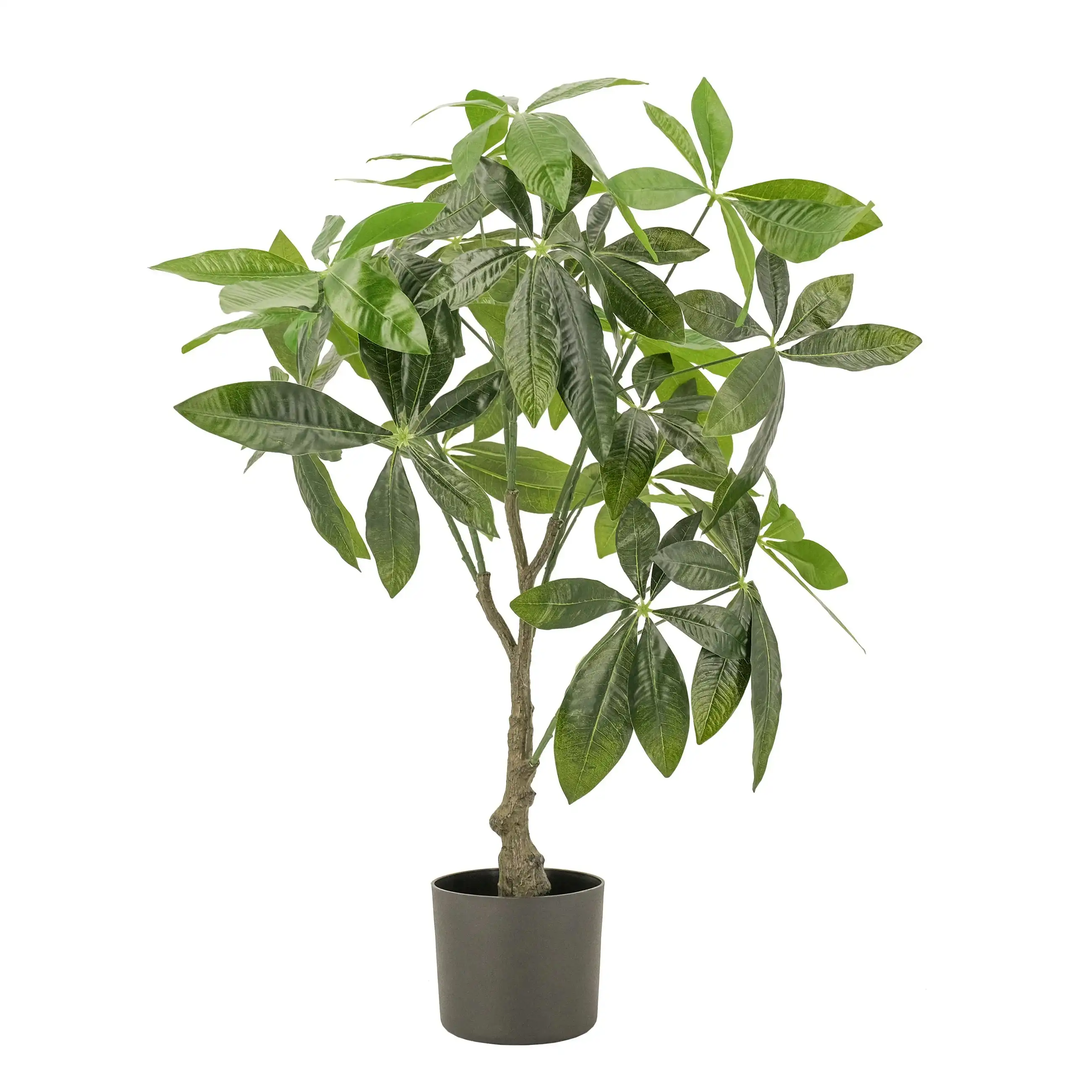Artificial Plant - Fortune (Money) Tree - 75cm