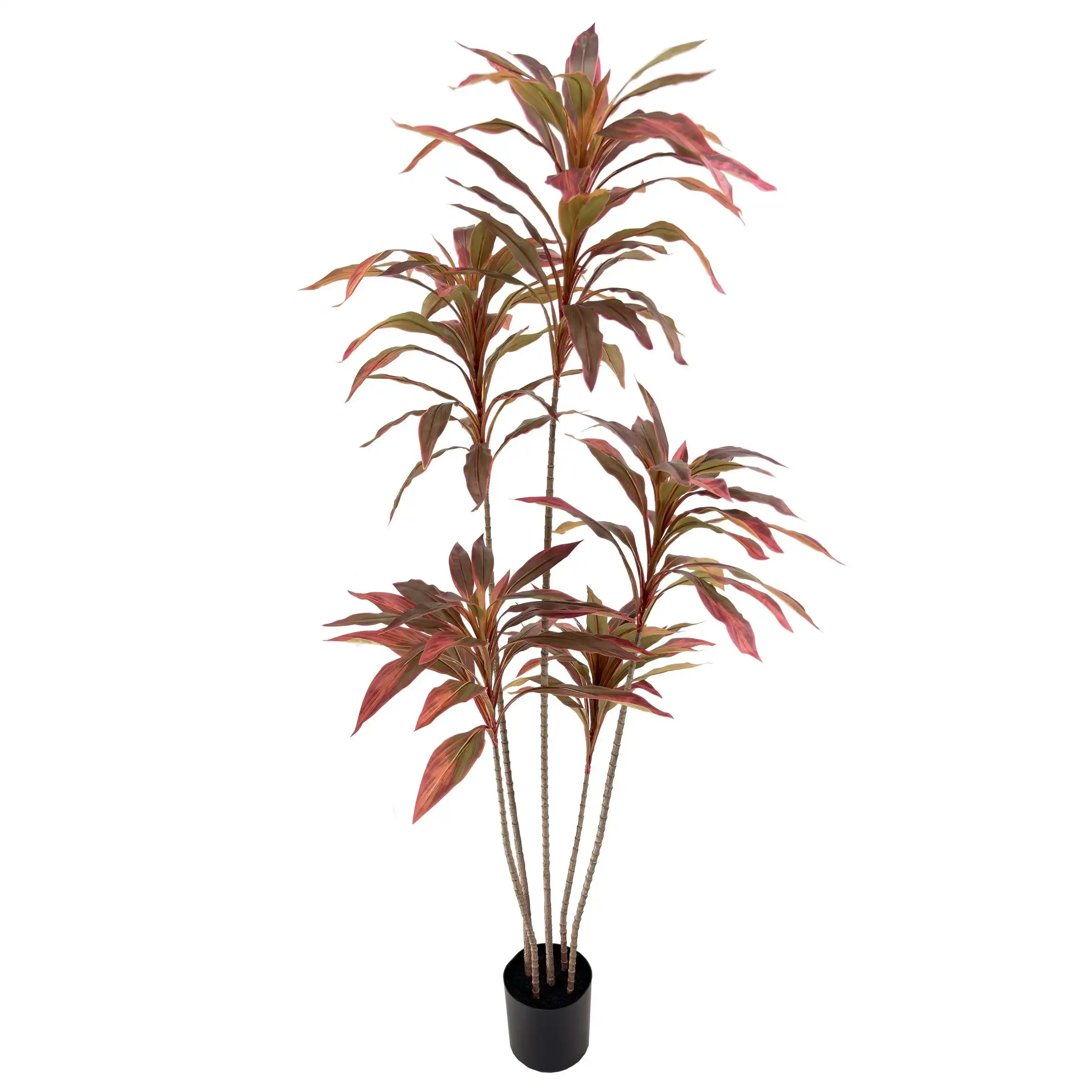 Large Artificial Plants - Dracaena Tree with red leaves 180cm