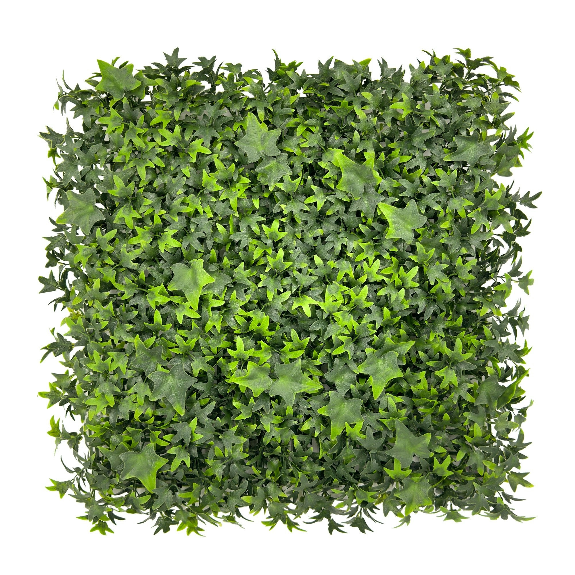 Artificial Hedge - English Ivy 50x50cm