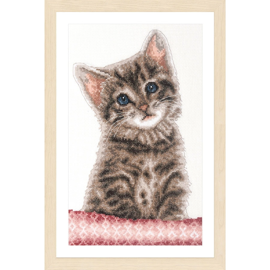 Kitten Cross Stitch- Needlework