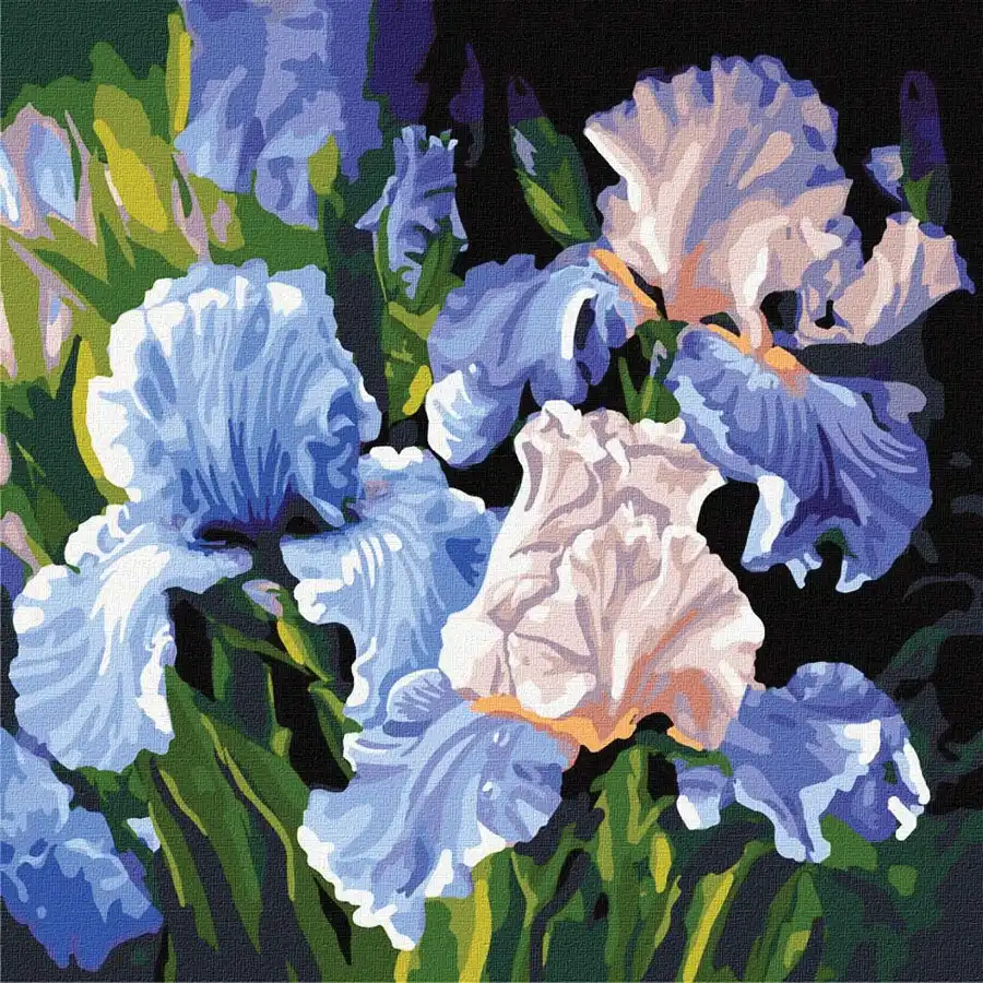 Bright Irises Paint-By-Numbers