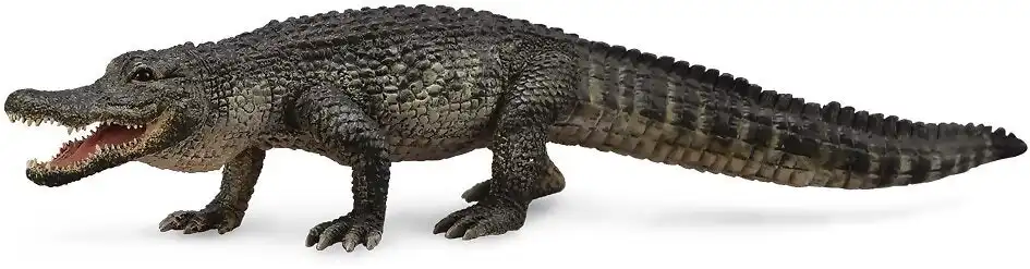Collecta - American Alligator Large Animal Figurine