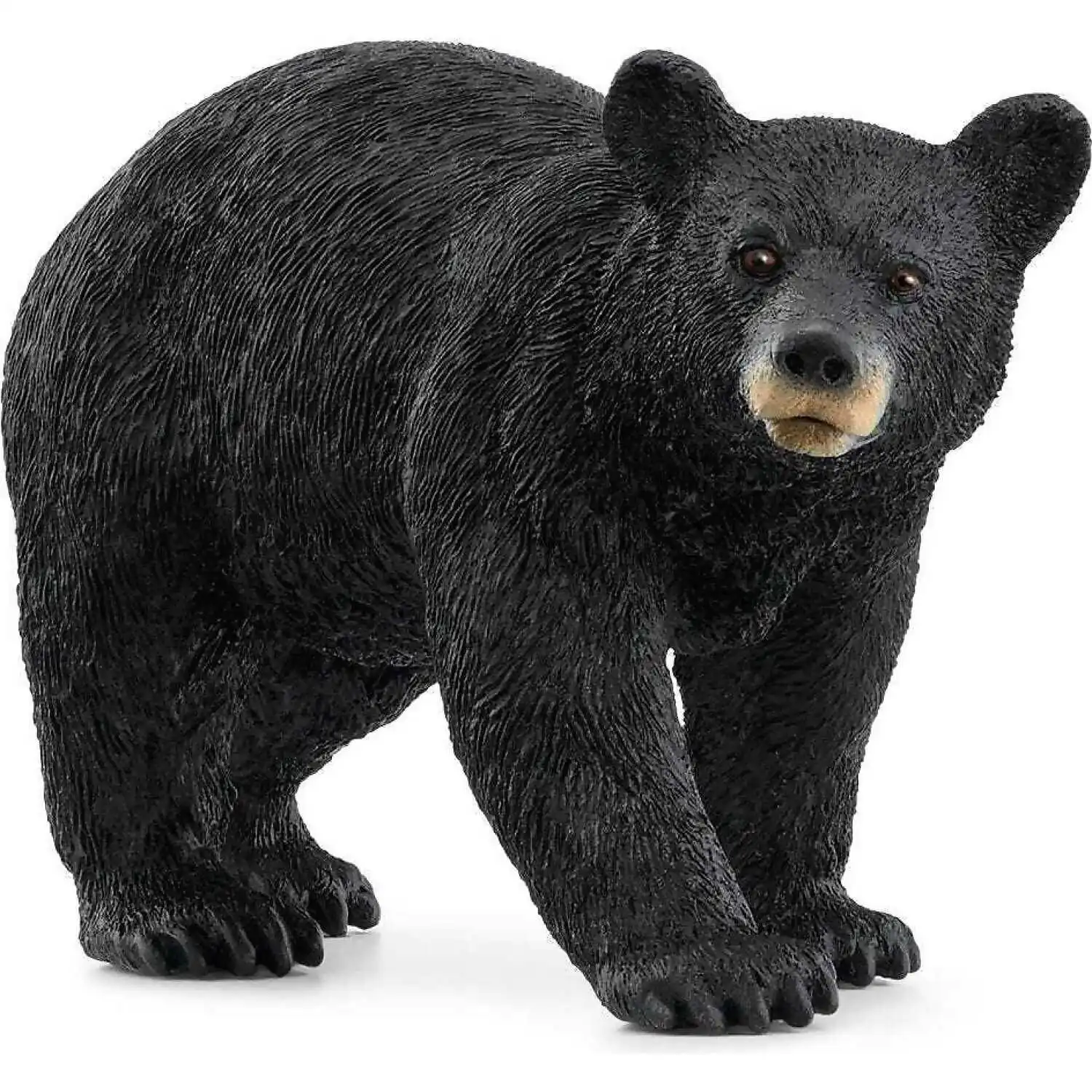 Schleich - American Black Bear