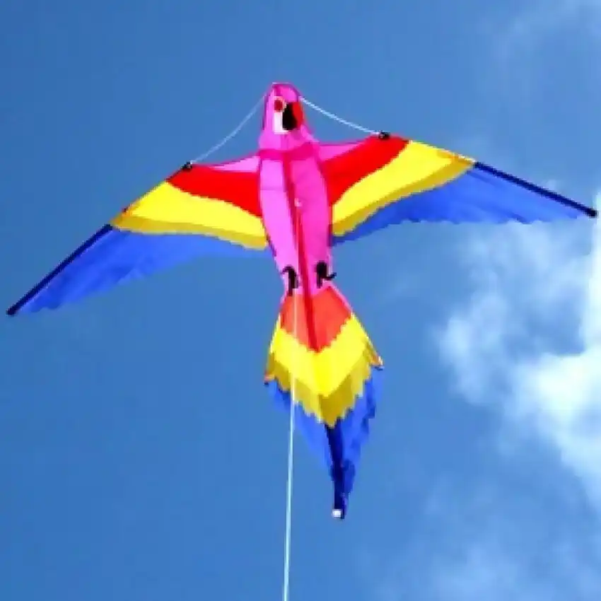 Windspeed - Lorikeet Kite Single Line - Ocean Breeze Model 883