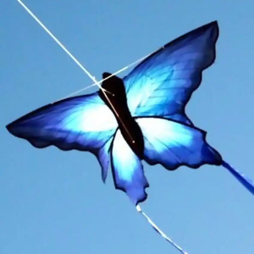 Windspeed - Ulysses Blue Butterfly Kite Single Line - Ocean Breeze Model 7160