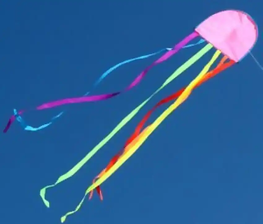 Windspeed - Jellyfish Kite Single Line - Ocean Breeze Model 150 (colours May Vary)