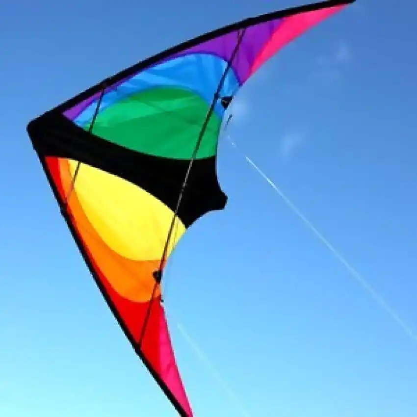 Windspeed - Stinger Stunt Trick Kite Dual Control - Ocean Breeze Model 7512