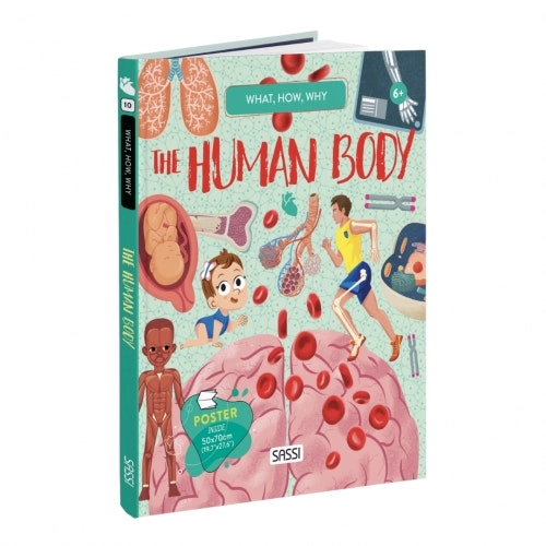 Sassi - What How and Why The Human Body Book and Poster