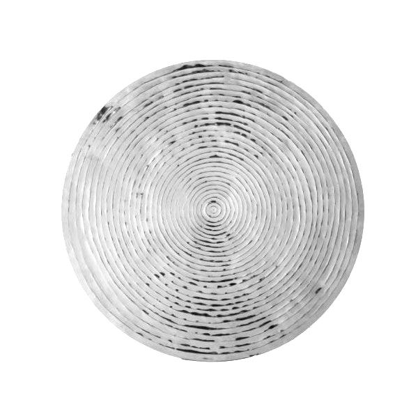 SSH Collection Goren 66cm Wide Concentric Circle Wall Art - Polished Aluminium