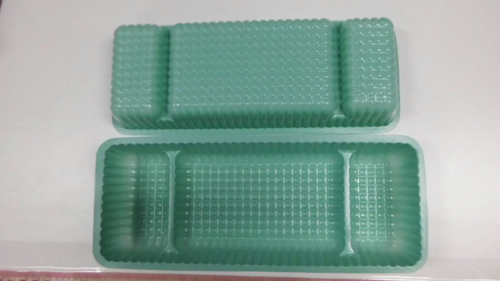 0757 Plastic Long Dressing Tray 23x9.5x3cm 3 Compartments (2 Small 1 Large)