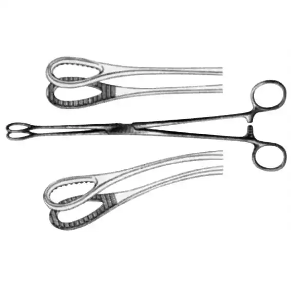 Livingstone Forester Sponge Holding Forceps 240mm Straight 82 grams