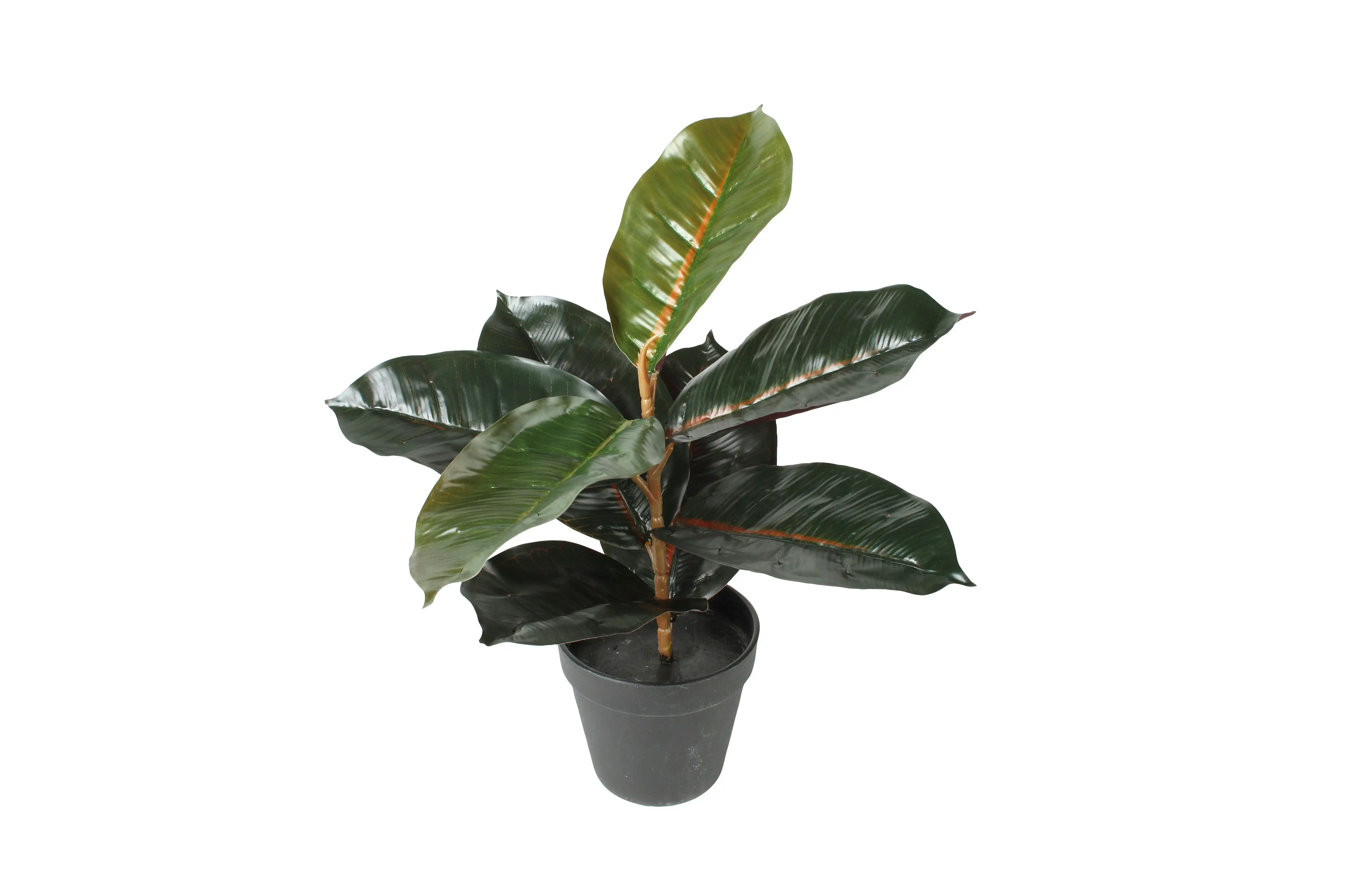 Potted Real Touch Burgundy Rubber Plant 36cm