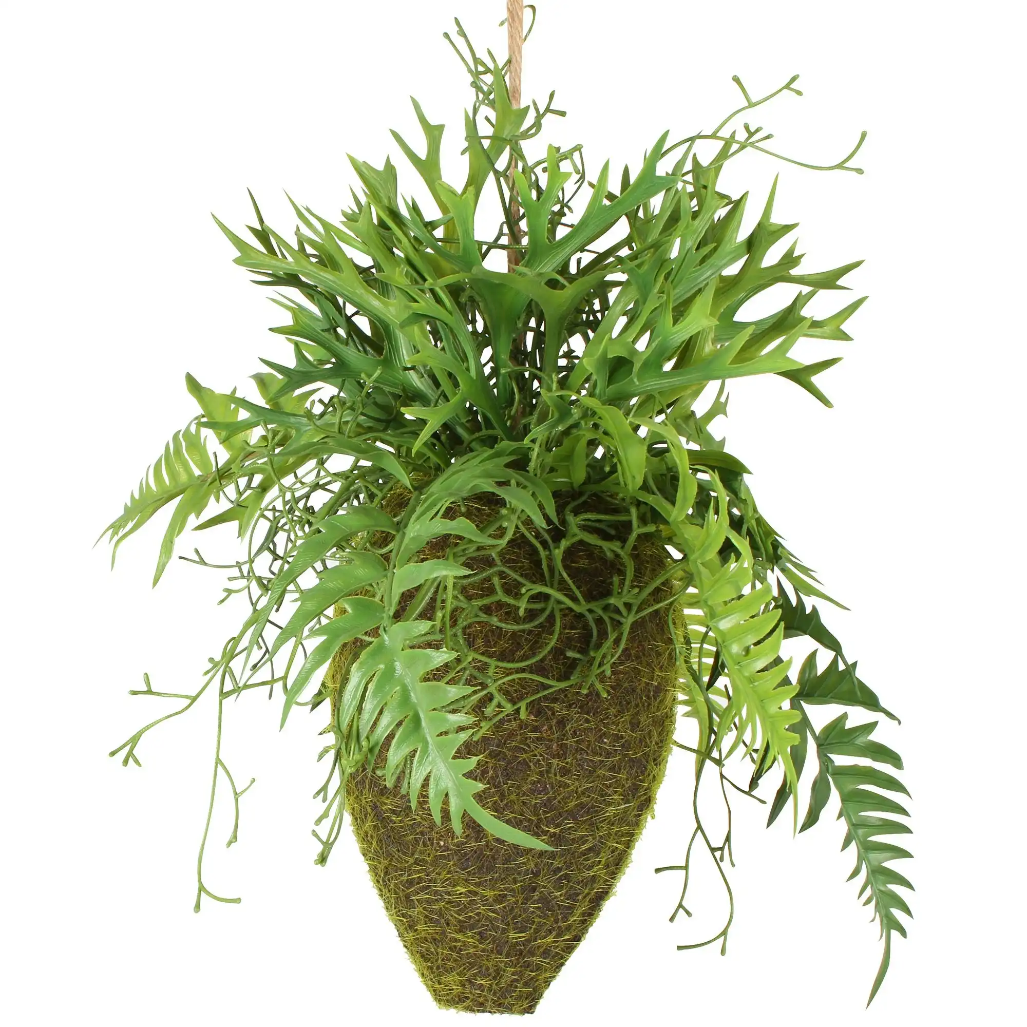 Moana Kokedama Mixed Hanging Fern 31cm