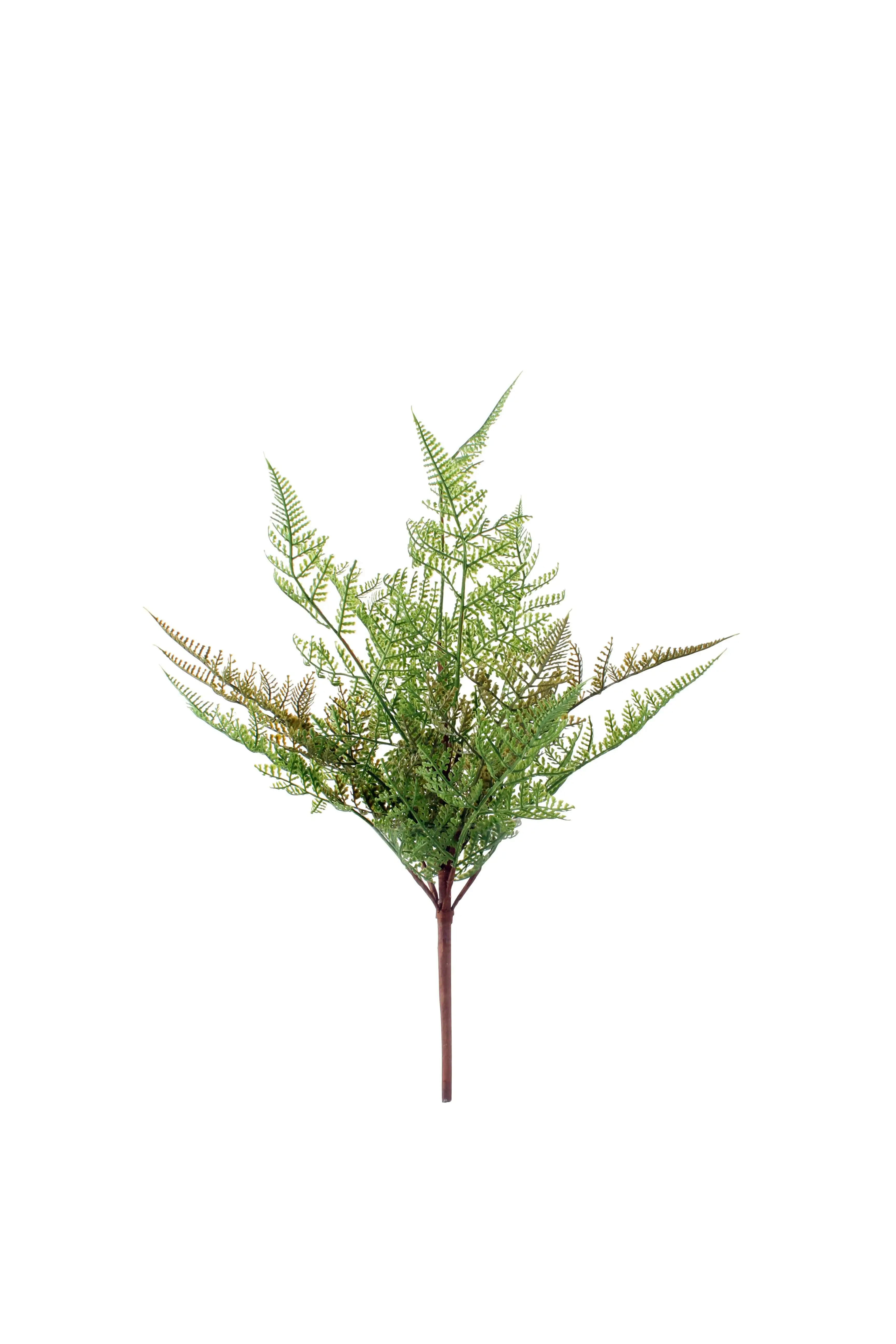 Fern Bundle 14 Leaves 43 cm