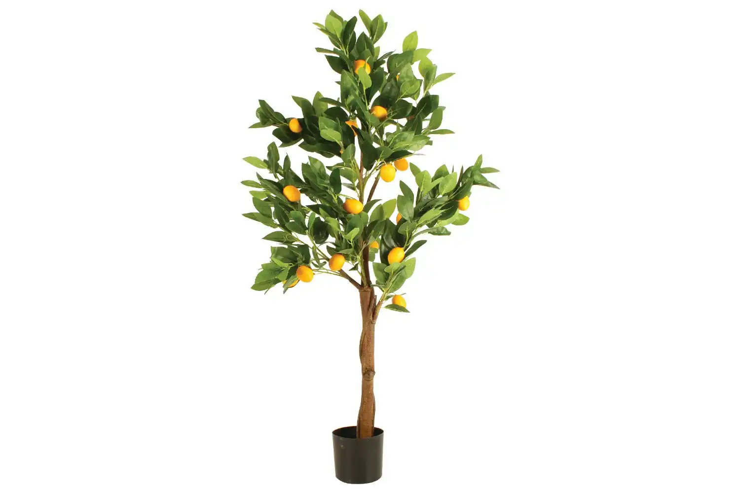 Potted 130cm Lemon Tree