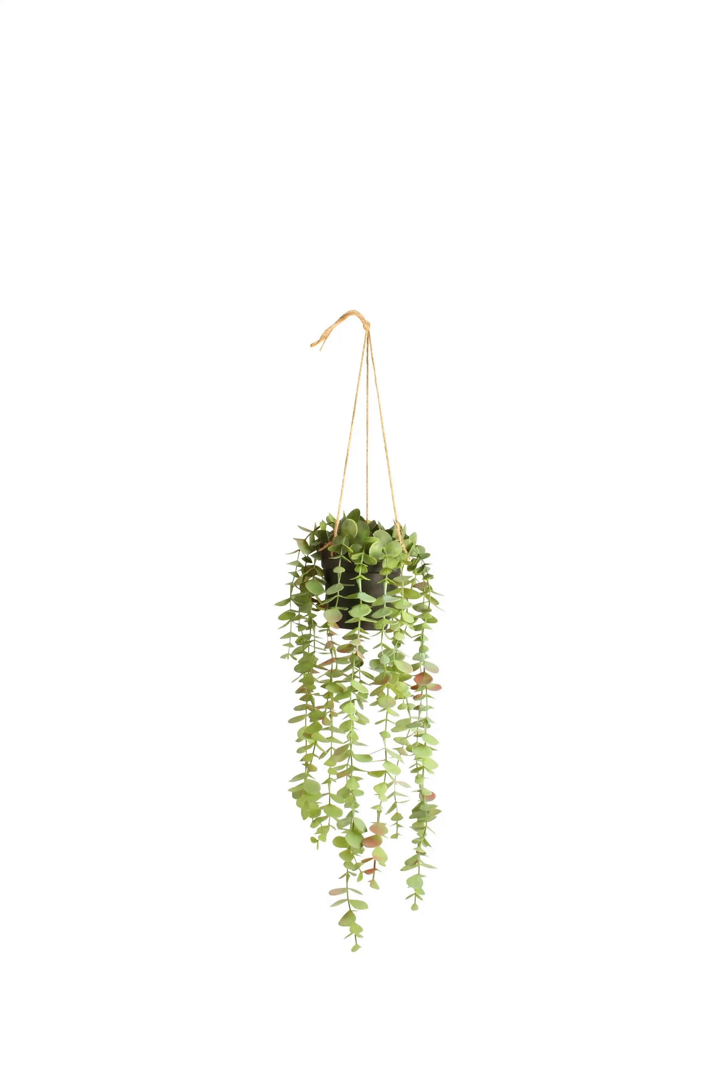 Eucalyptus In Plastic Hanging White Pot 50cm