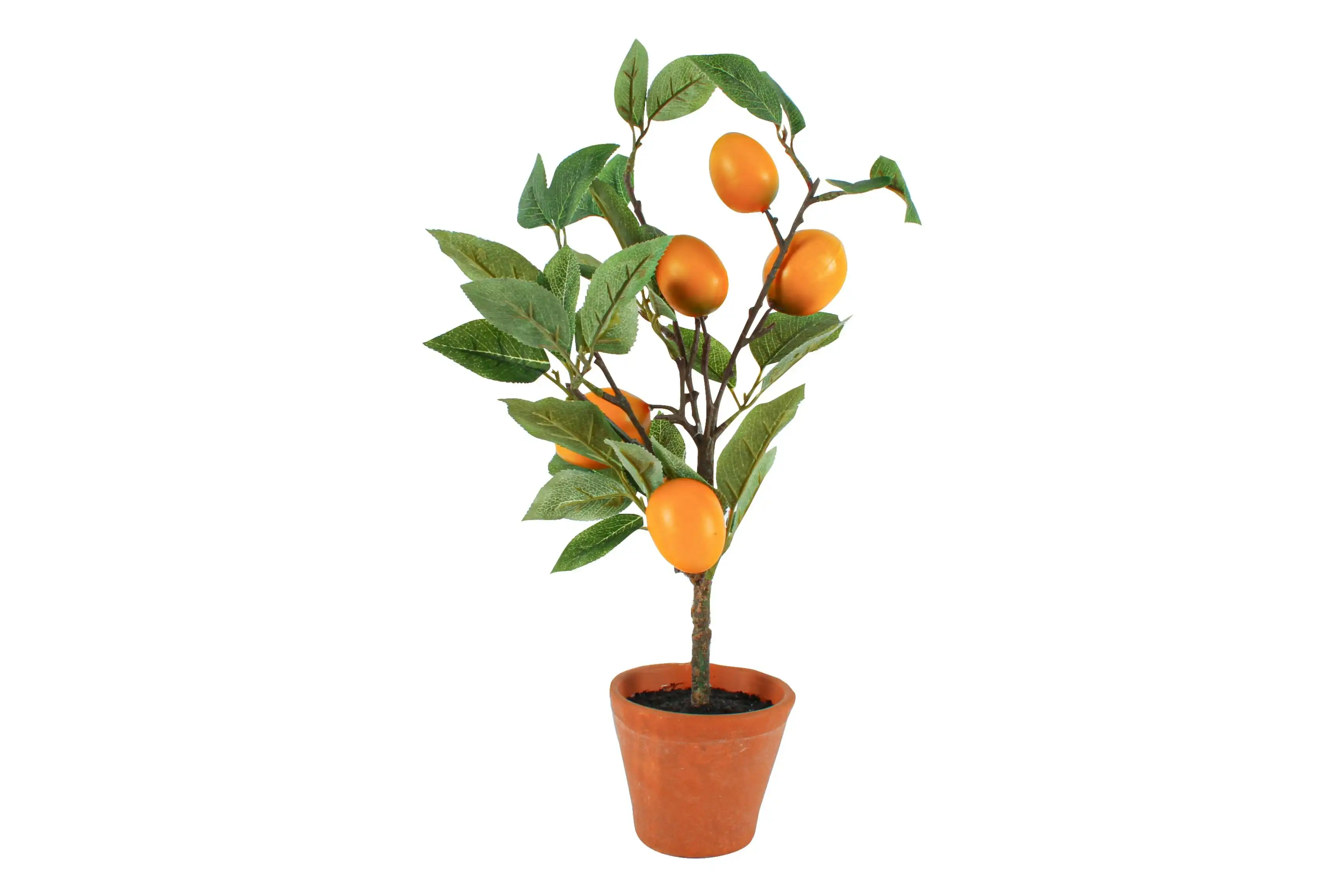 Lemon Tree In Terracotta Pot 43 cm