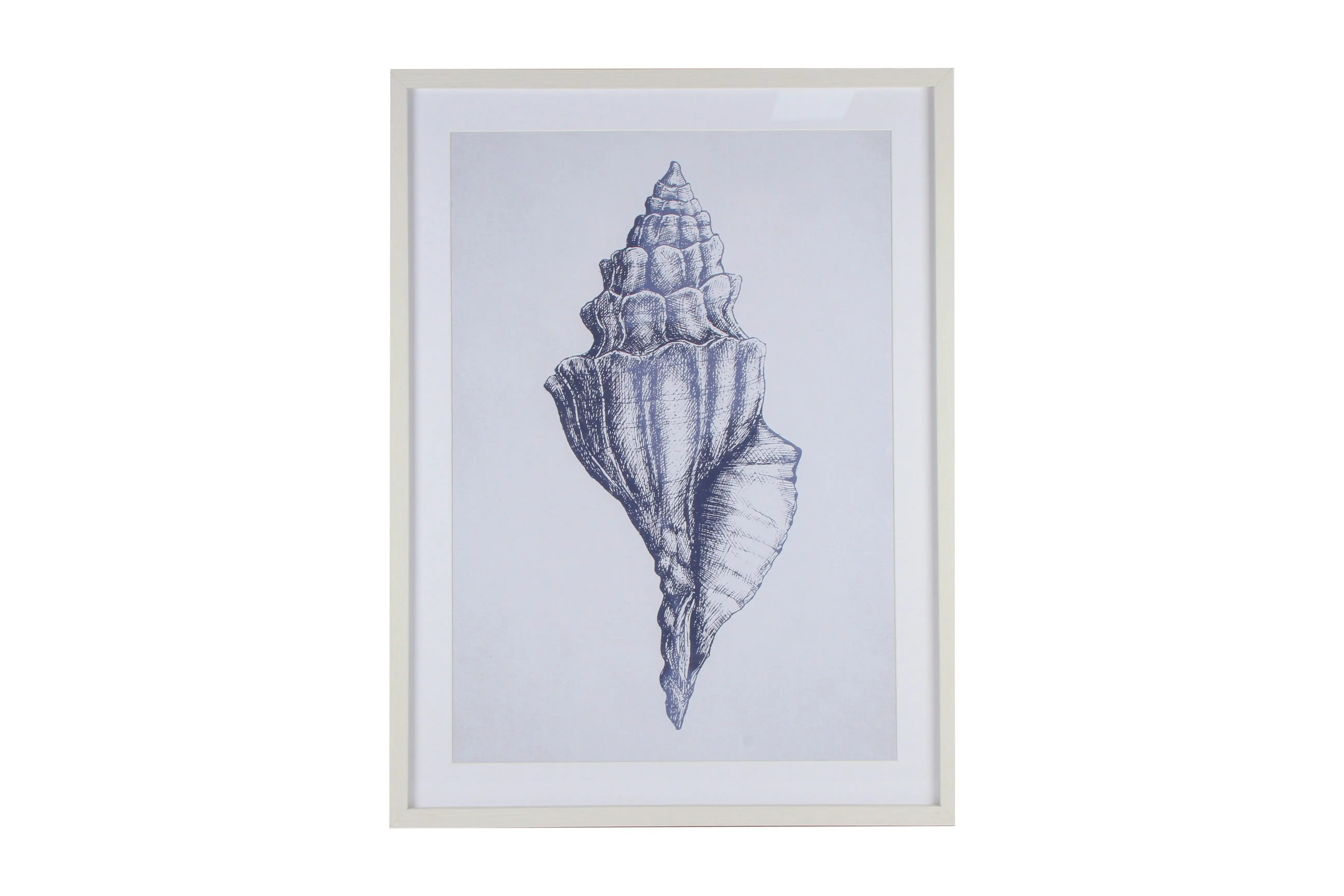 Belze Blue Watercolour Shell Framed Canvas 80 x 60cm