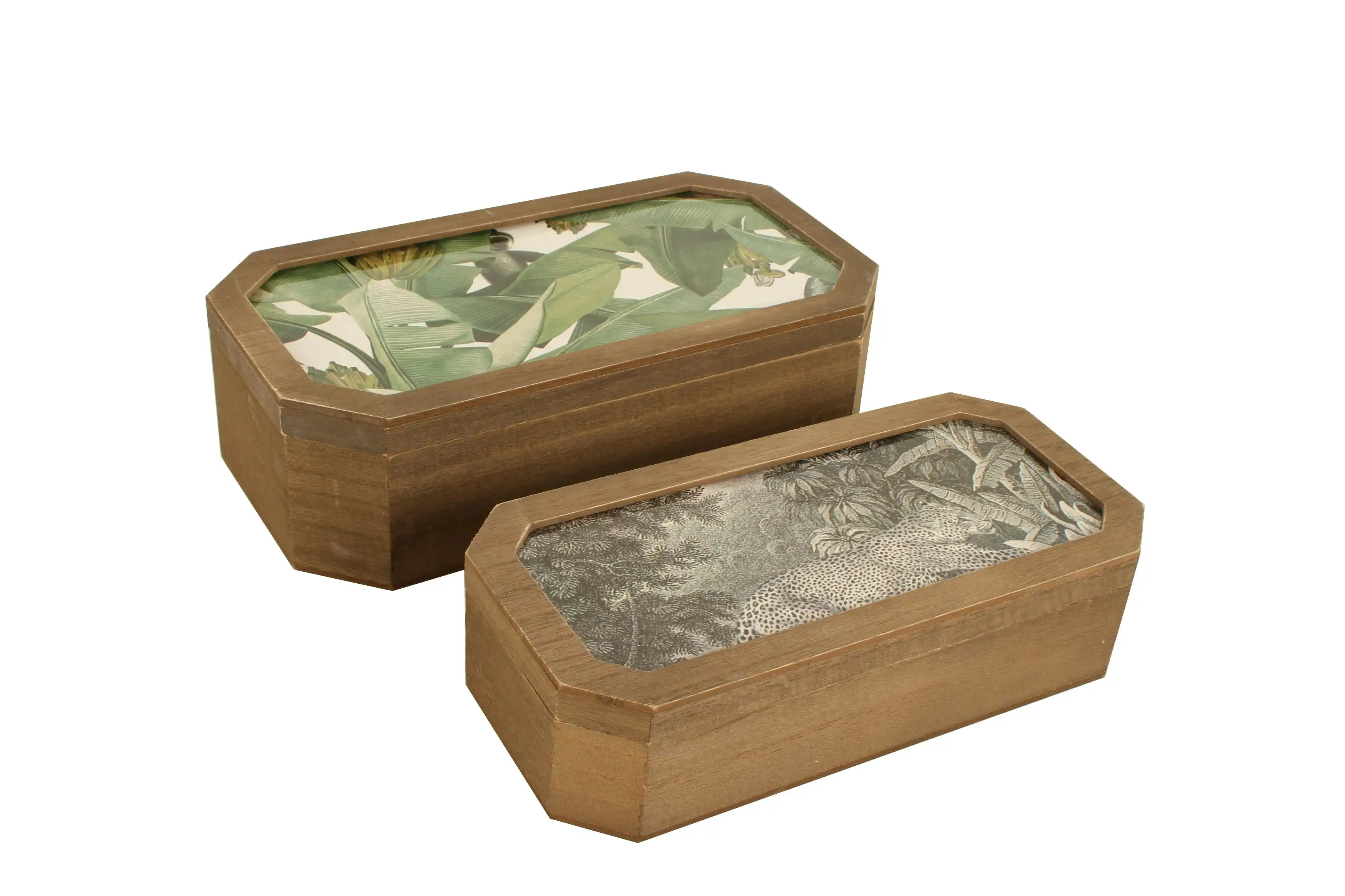 Lucaz Jungle Set Of 2 Trinket Box