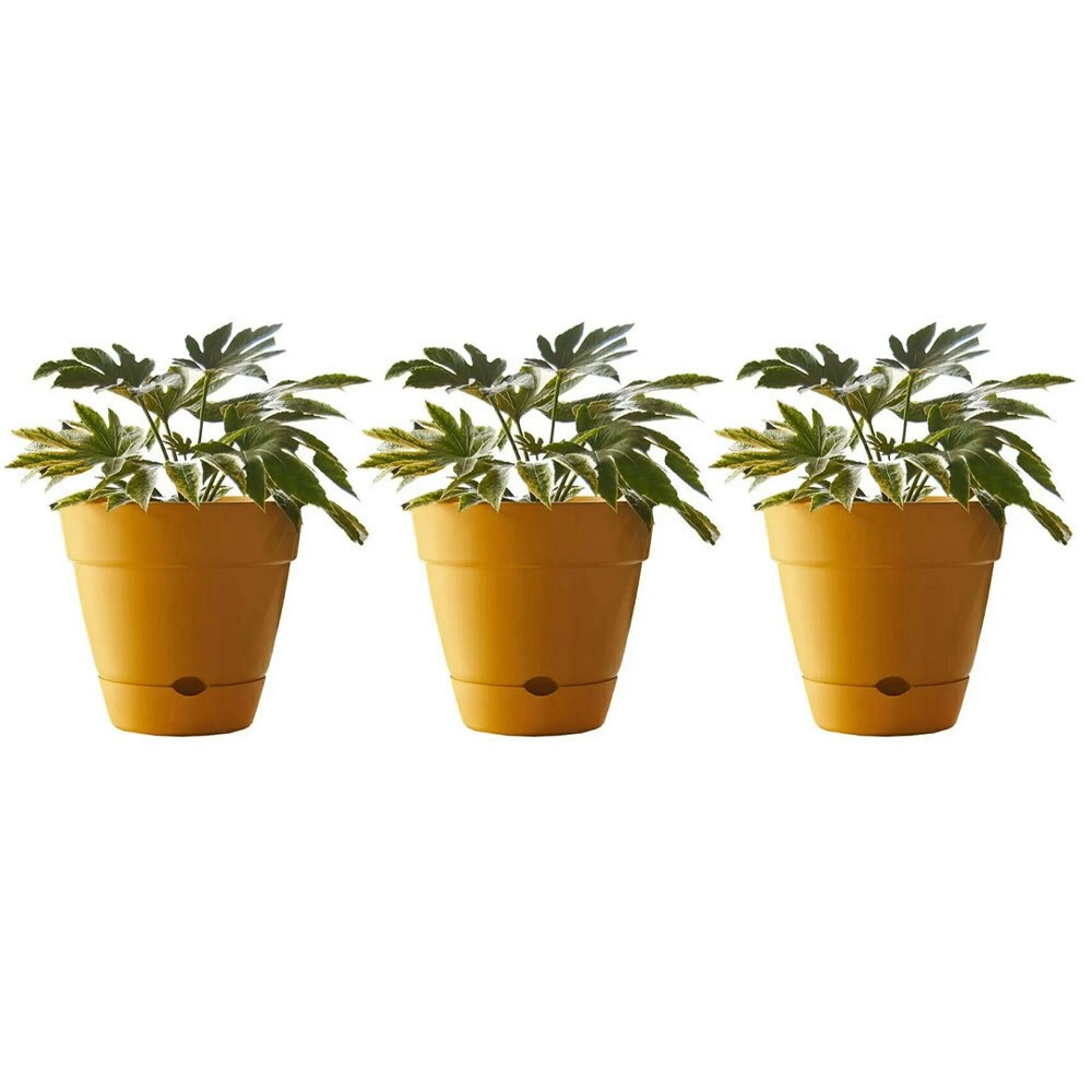 3x Northcote Pottery Leonard 20x18cmSelf Watering Plant Pot Garden Decor Yellow