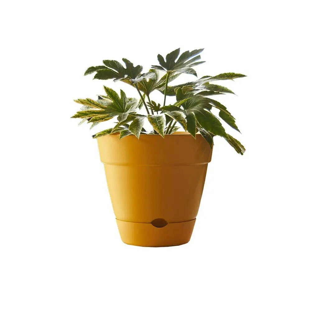 Northcote Pottery Leonard 38x34cmSelf Watering Plant Pot Garden Decor Yellow