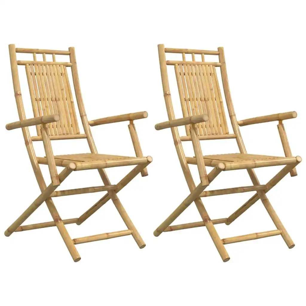 Folding Garden Chairs 2 pcs 53x66x99 cm Bamboo 368038