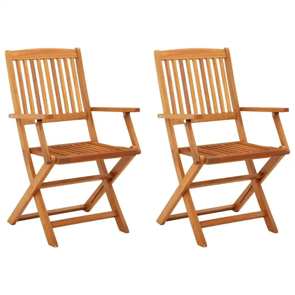 Folding Garden Chairs 2 pcs Solid Eucalyptus Wood 312449