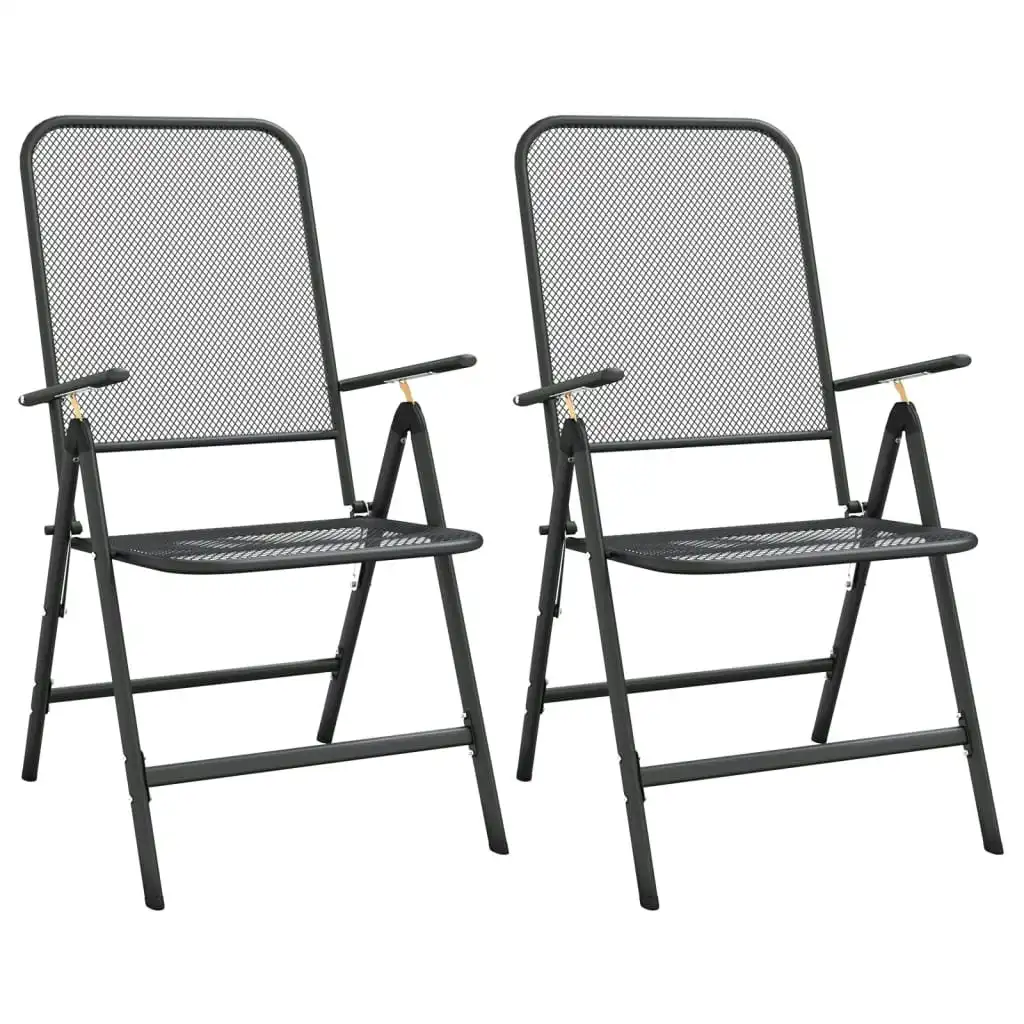 Folding Garden Chairs 2 pcs Expanded Metal Mesh Anthracite 317340