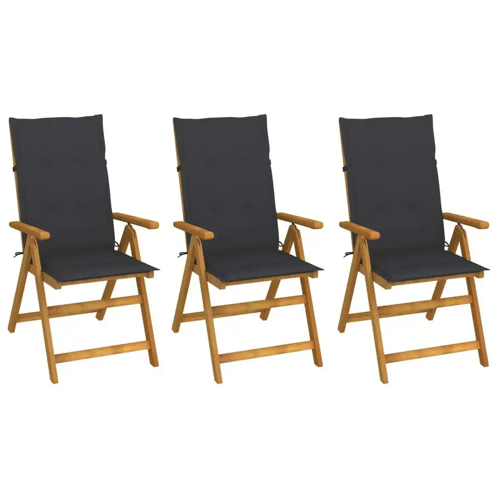 Folding Garden Chairs 3 pcs with Cushions Solid Acacia Wood 3064089