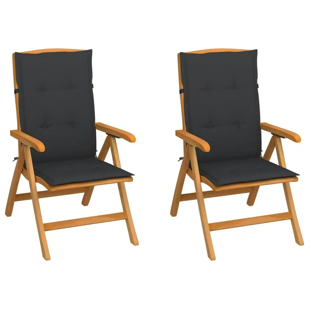 Garden Chairs 2 pcs with Anthracite Cushions Solid Teak Wood 3062316