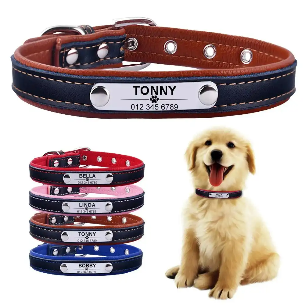 Arina Leather Engraved Dog Collar