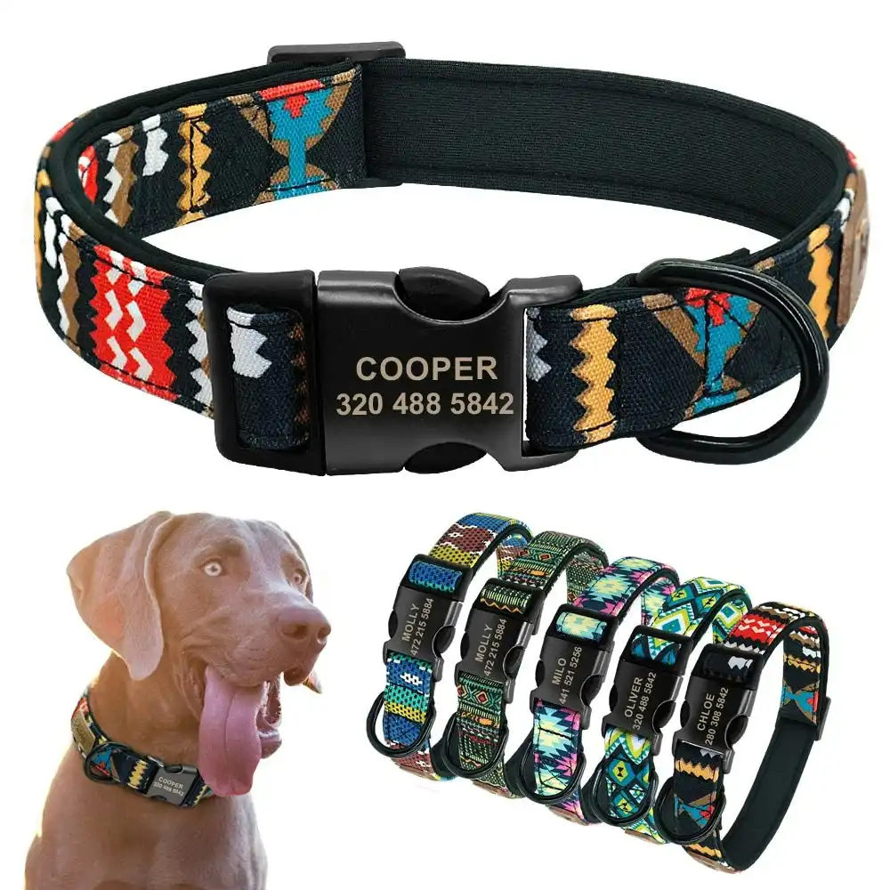 K13 Personalised Dog Collar