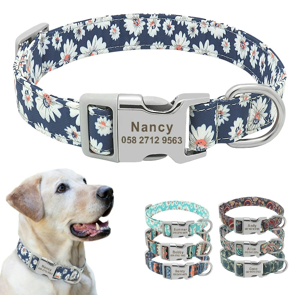 K20 Personalised Collar