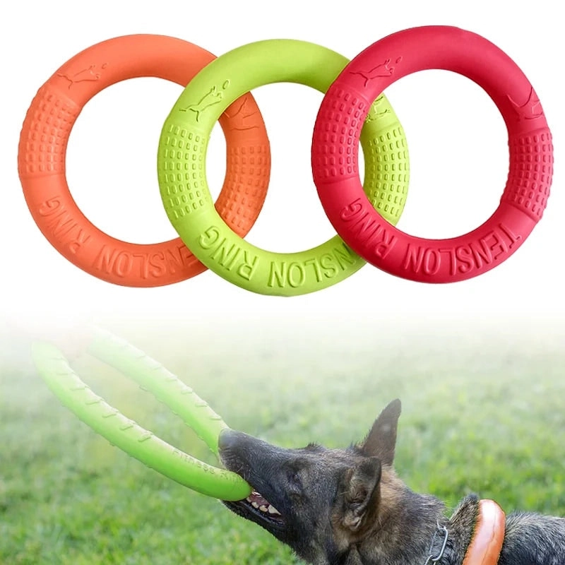 Flying Disc Training Ring Toy