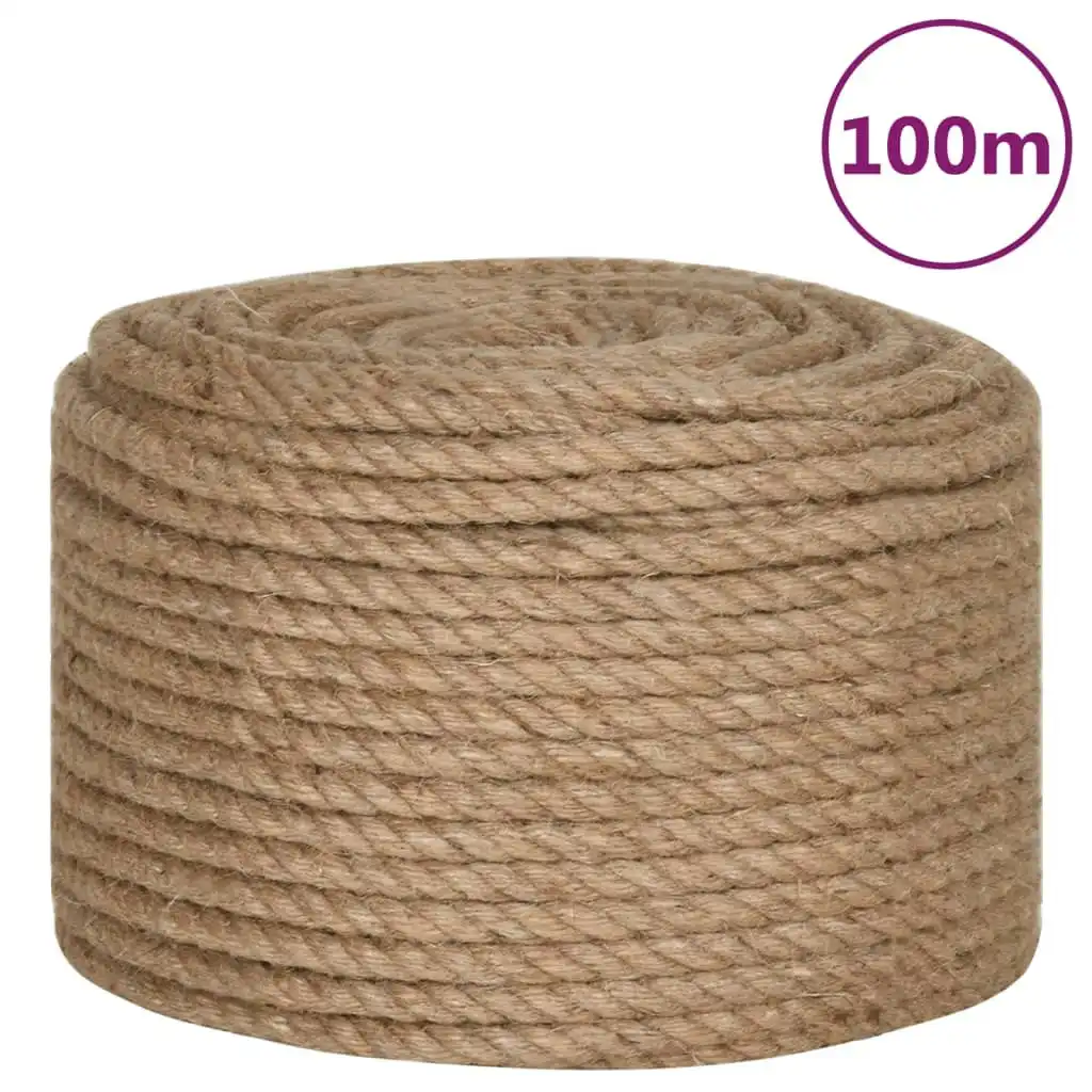 Rope 100% Jute 12 mm 100 m 91274