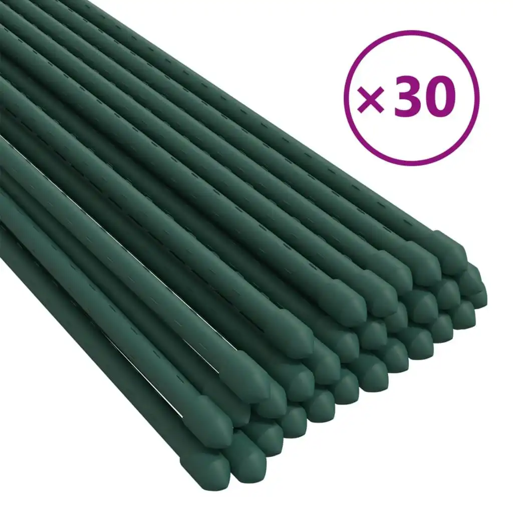 Garden Plant Stakes 30 pcs Green 150 cm Steel 319370