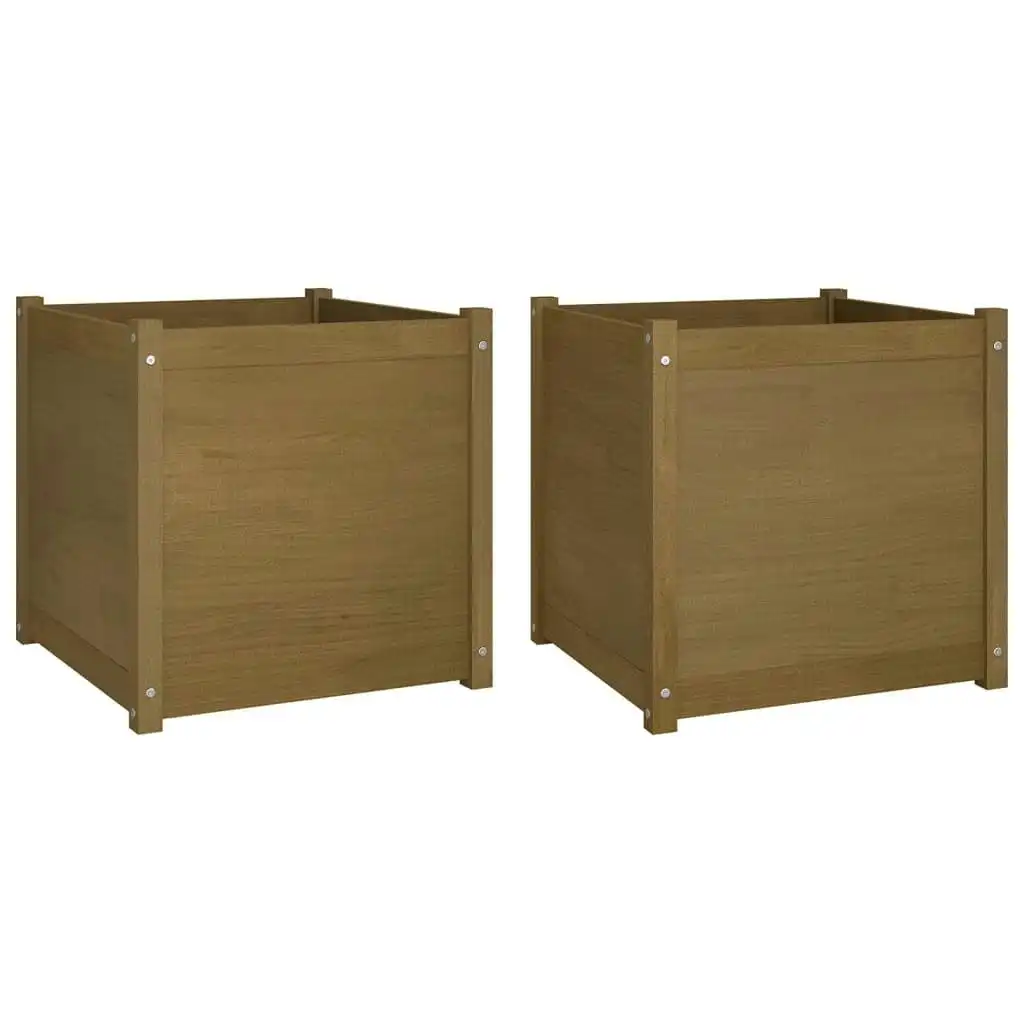 Garden Planters 2 pcs Honey Brown 60x60x60 cm Solid Pinewood 810565