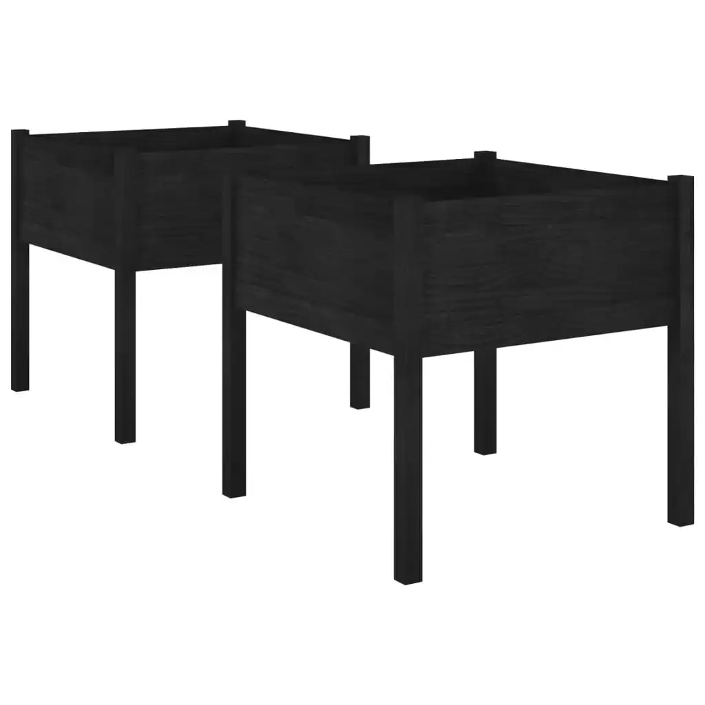 Garden Planters 2 pcs Black 70x70x70 cm Solid Pinewood 810818